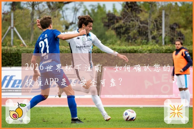 2026世界杯下注前，如何确认您的投注APP是否安全可靠？