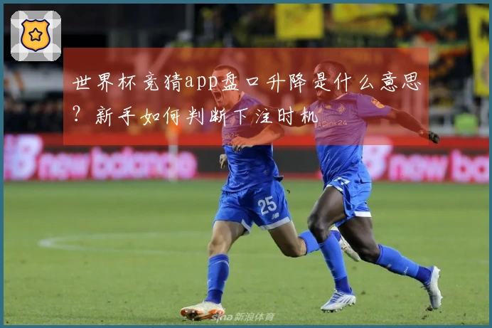 世界杯竞猜app盘口升降是什么意思？新手如何判断下注时机