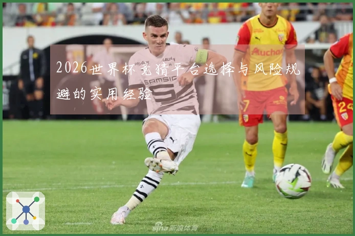 2026世界杯竞猜平台选择与风险规避的实用经验
