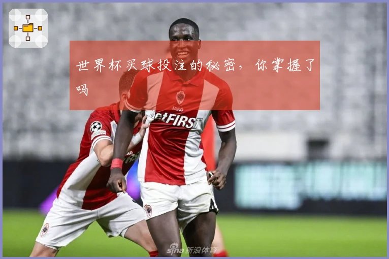 世界杯买球投注的秘密，你掌握了吗