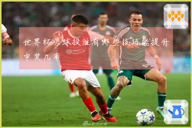 世界杯买球投注有哪些技巧能提升中奖几率